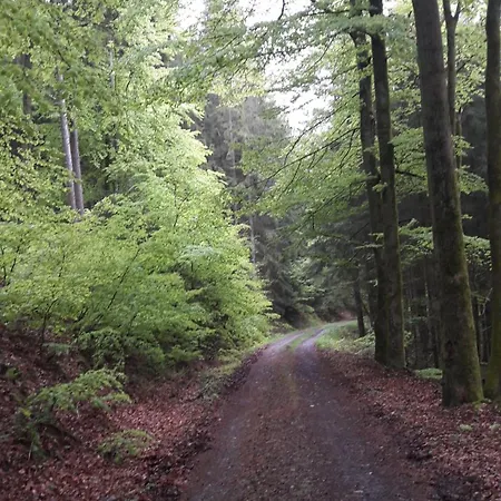 Unten Im Dorf Apartment Biedenkopf