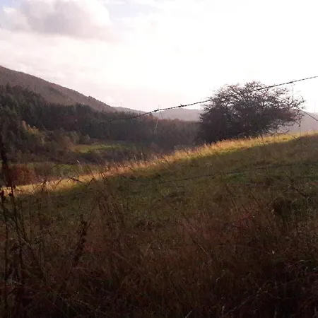 Unten Im Dorf * Biedenkopf