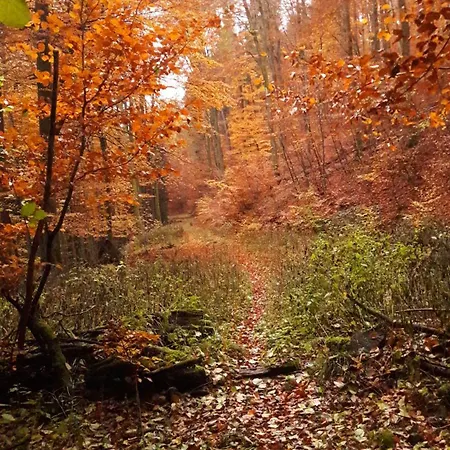 Apartment Unten Im Dorf *