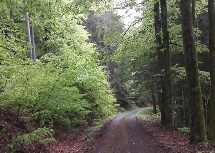 Unten Im Dorf 아파트 비덴코프