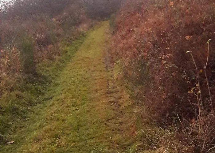Unten Im Dorf 비덴코프