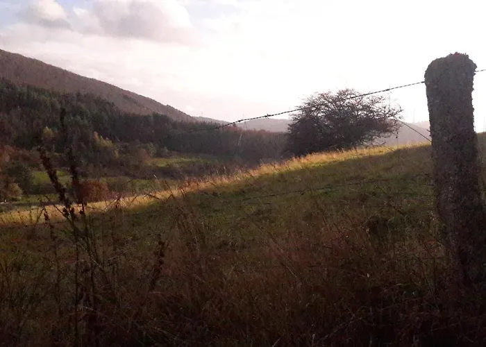 Unten Im Dorf * 비덴코프