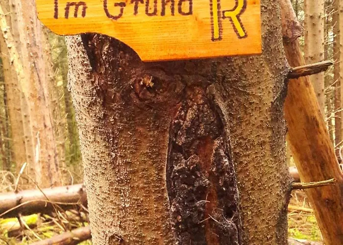 Unten Im Dorf Lejlighed *