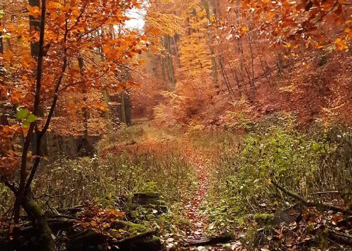 Lejlighed Unten Im Dorf *